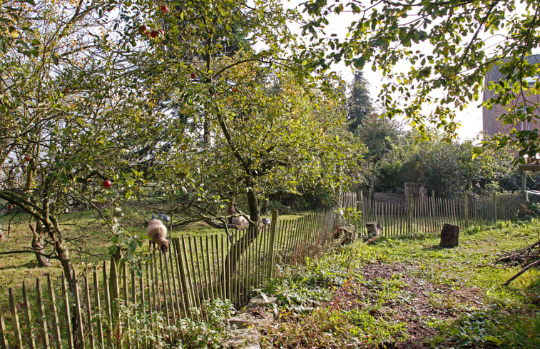 Natuurhuisje in Lier