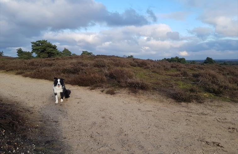 Natuurhuisje in Giethmen