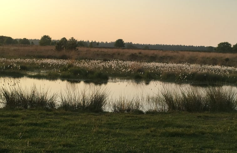 Natuurhuisje in Exloo