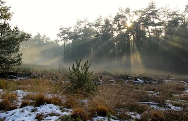 Natuurhuisje in Dwingeloo