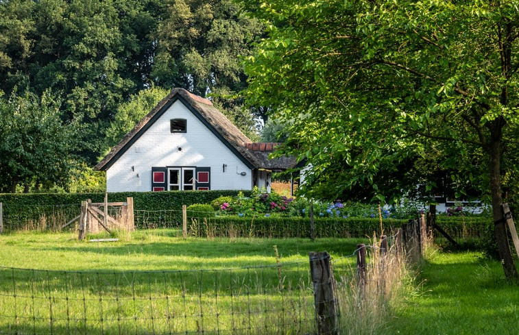 Natuurhuisje in Empe