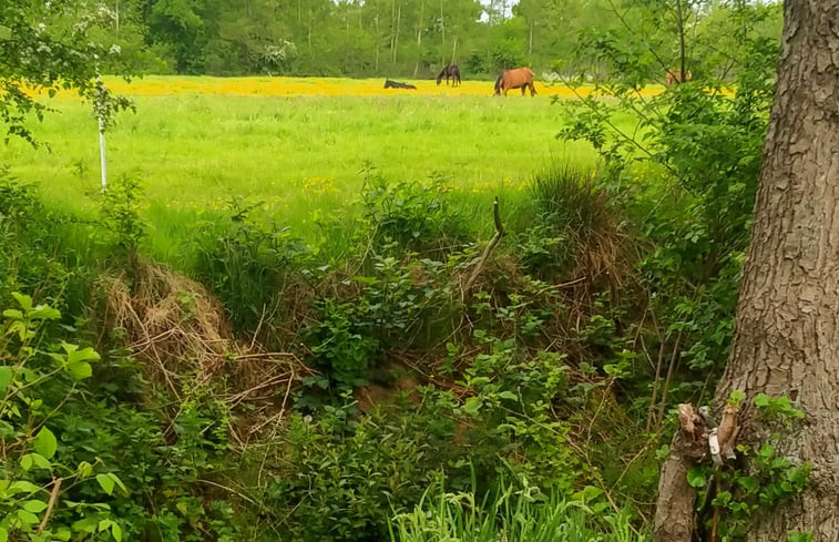 Natuurhuisje in Kollumerzwaag