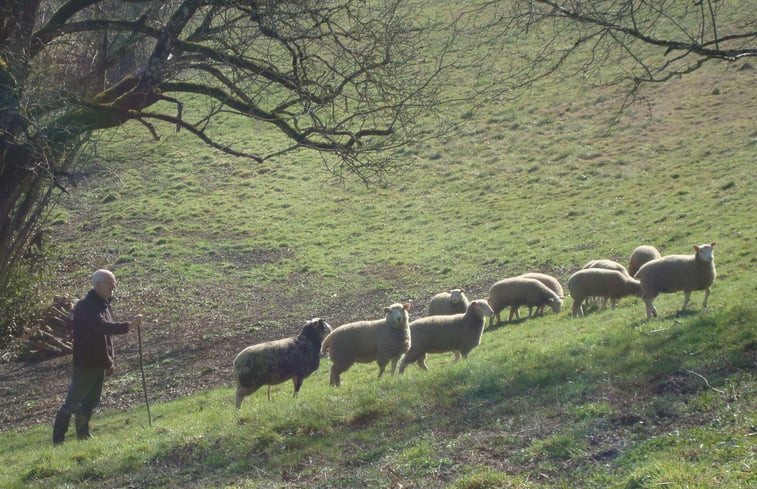 Natuurhuisje in Coupiac