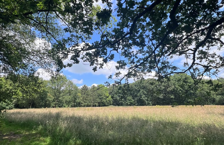 Natuurhuisje in Rucphen