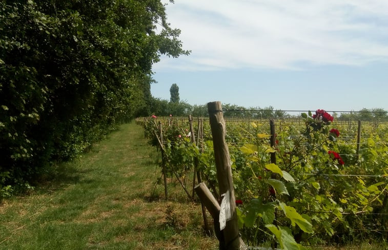 Natuurhuisje in Simonshaven