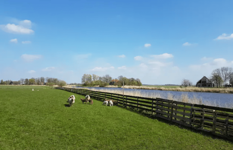 Natuurhuisje in Jelsum