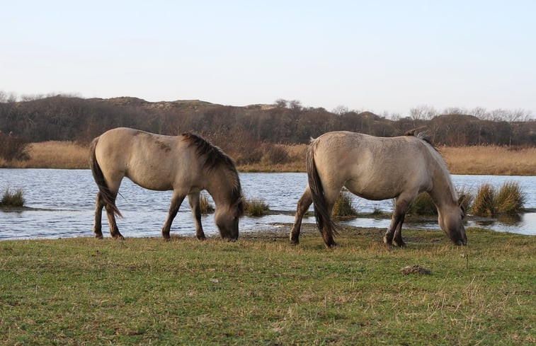 Natuurhuisje in Wassenaar