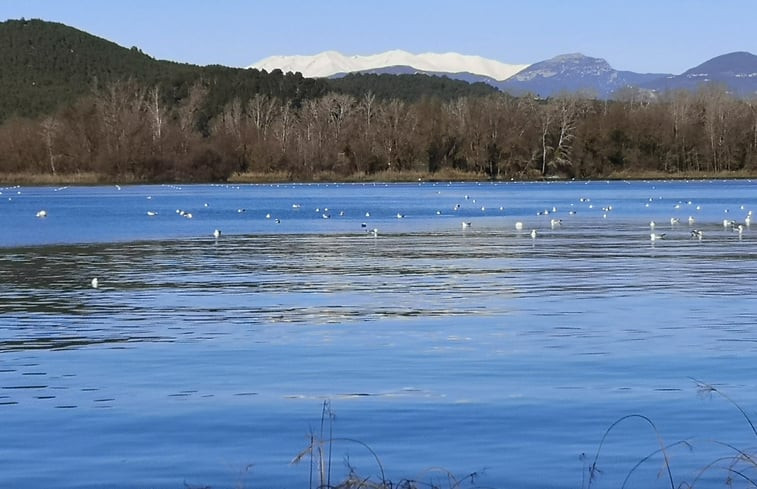 Natuurhuisje in Serinyà