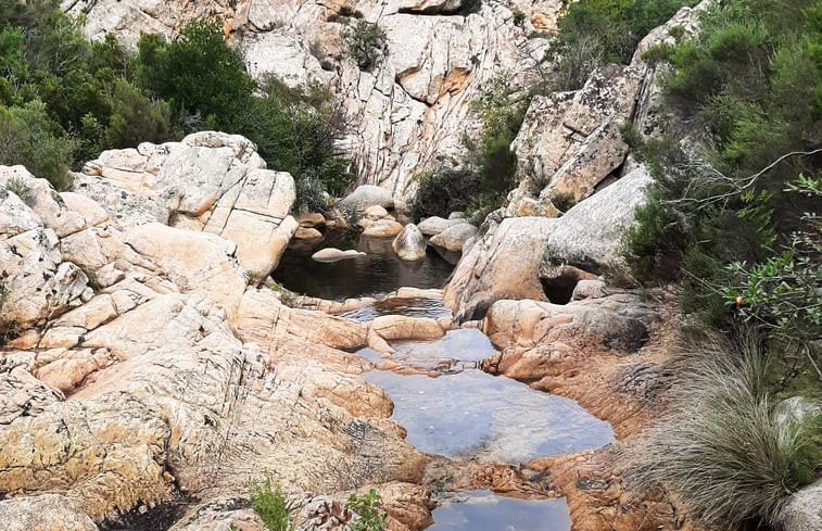 Natuurhuisje in Olbia