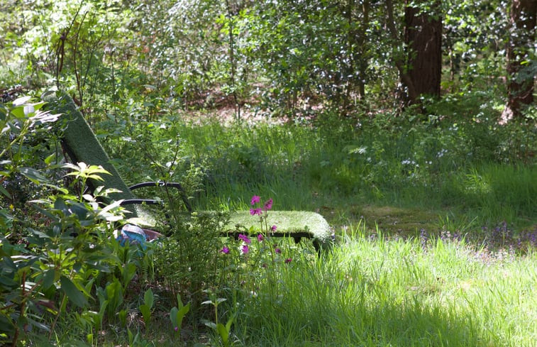 Natuurhuisje in Norg