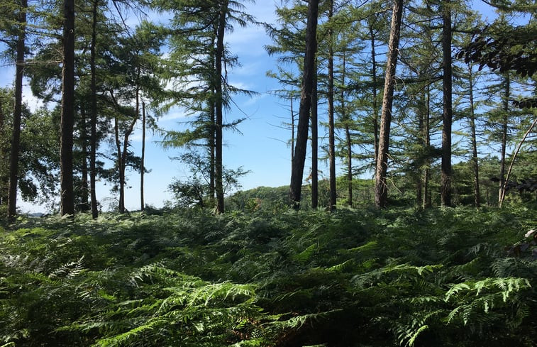 Natuurhuisje in De Rips