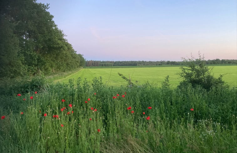 Natuurhuisje in Haulerwijk