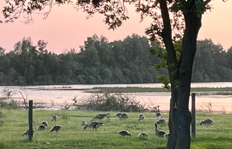 Natuurhuisje in Mill