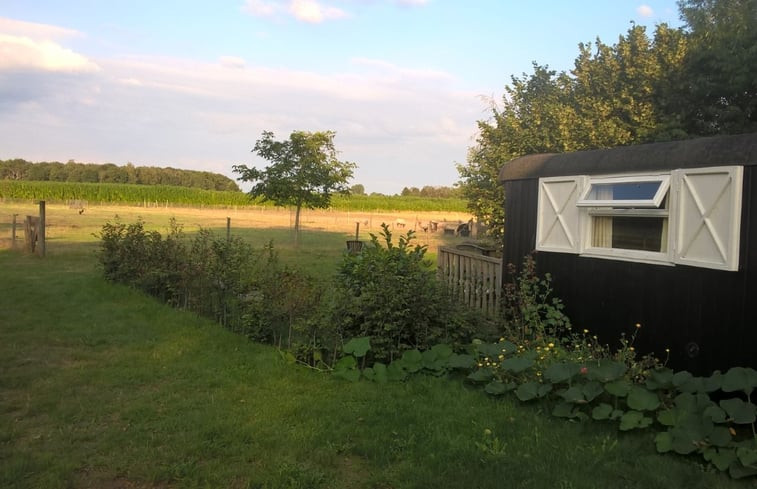 Natuurhuisje in Onstwedde