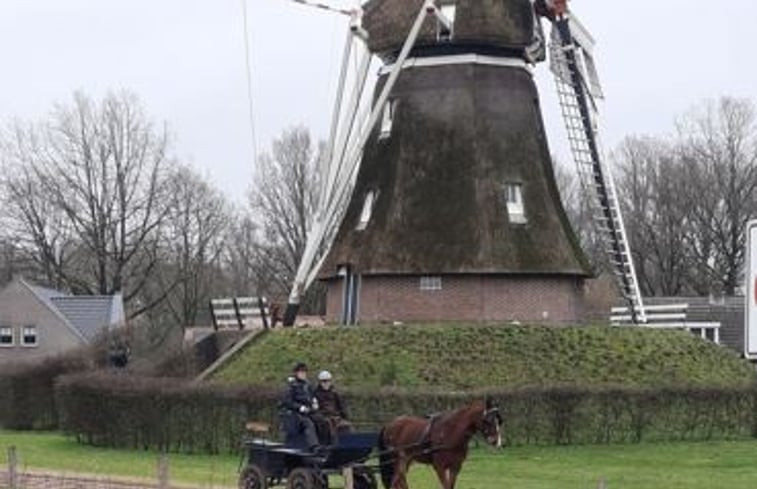 Natuurhuisje in Aalden