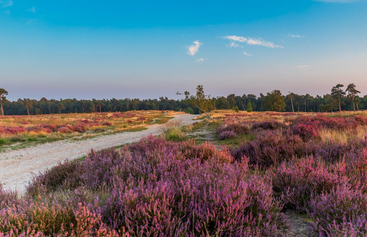 Natuurhuisje in Drunen