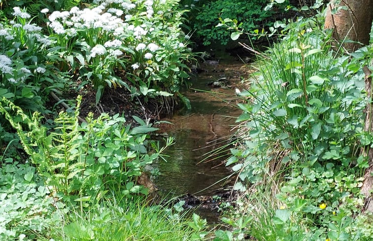 Natuurhuisje in Harzgerode