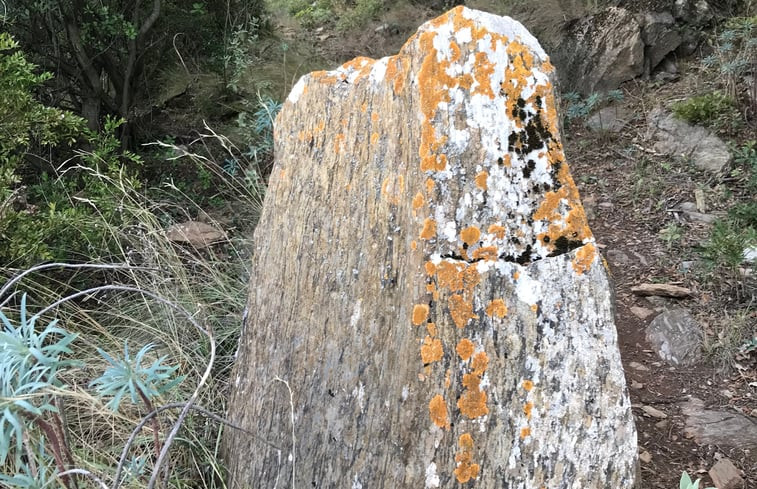 Natuurhuisje in Domaine de Ventajou