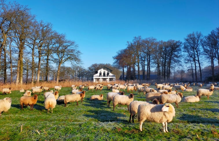 Natuurhuisje in Woudenberg