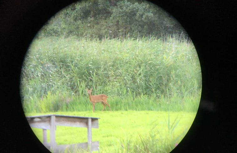 Natuurhuisje in Kortenhoef