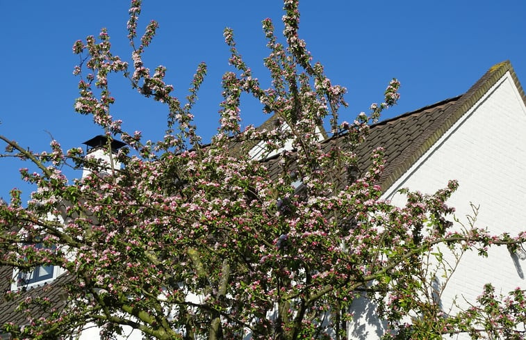 Natuurhuisje in Maren-Kessel