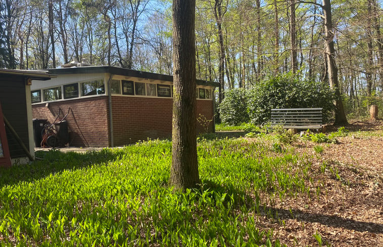 Natuurhuisje in Barchem