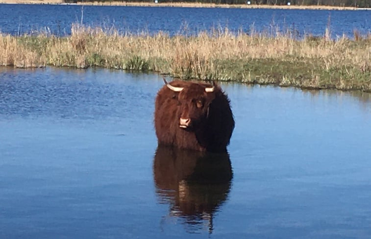 Natuurhuisje in Purmerland