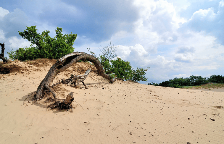 Natuurhuisje in Vught