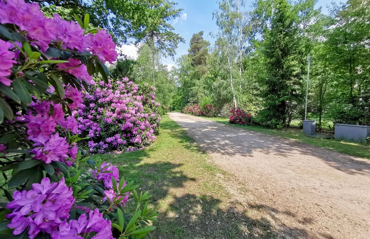 Natuurhuisje in Holten