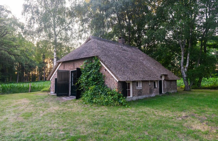 Natuurhuisje in Raalte