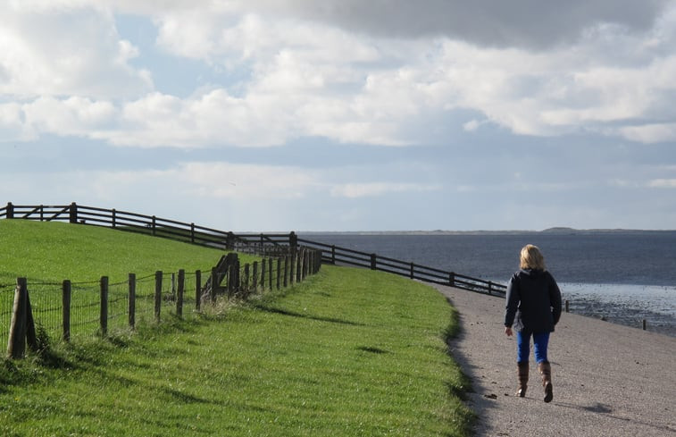 Natuurhuisje in Moddergat