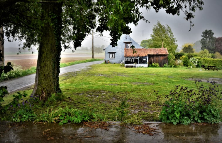 Natuurhuisje in Frasnes-lez-Buissenal