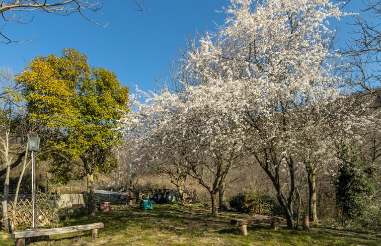 Natuurhuisje in Secchiano