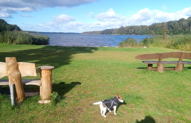 Natuurhuisje in Bad Stuer