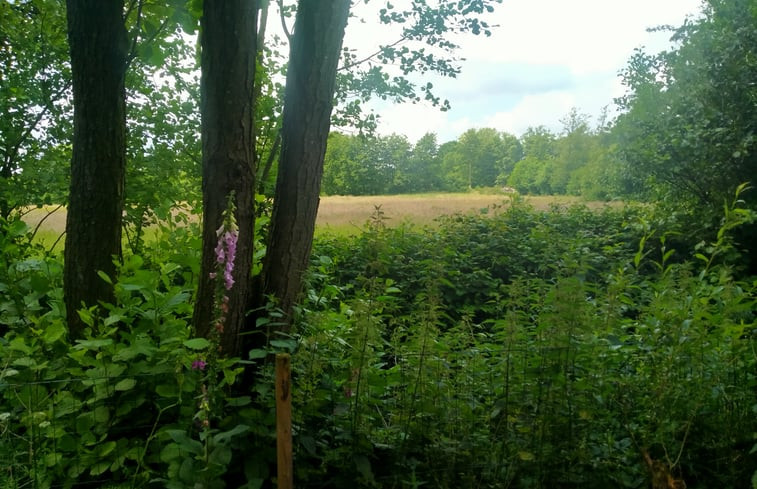 Natuurhuisje in Kollumerzwaag