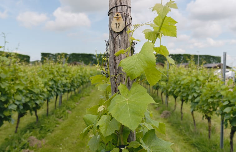 Natuurhuisje in Wognum