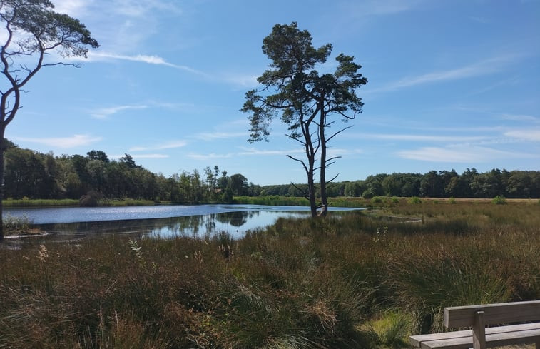 Natuurhuisje in Wijnjewoude