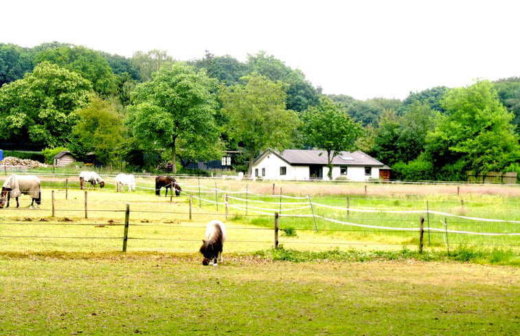 Natuurhuisje in Rhenen