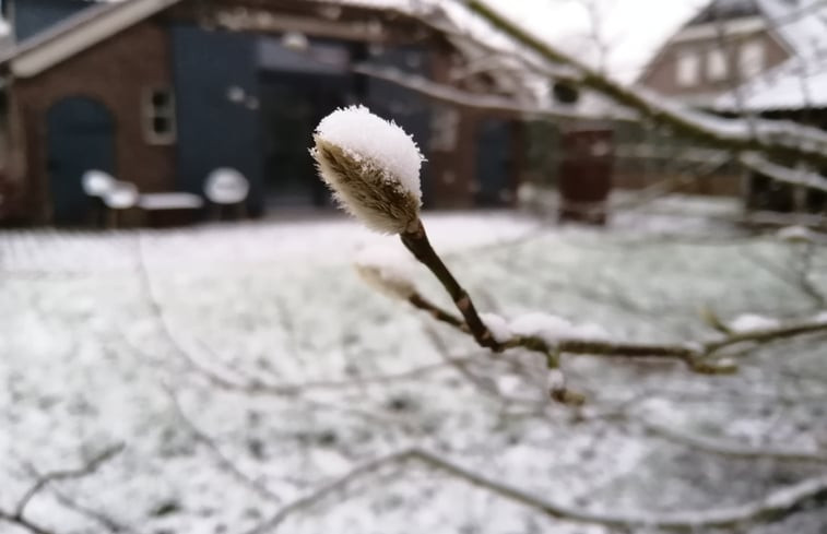 Natuurhuisje in Heerle