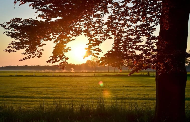 Natuurhuisje in Diepenheim