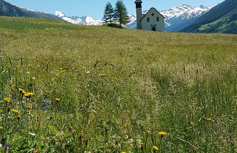 Natuurhuisje in Biel ( VS)