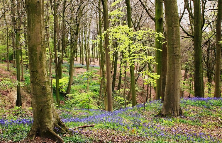 Natuurhuisje in Barvaux