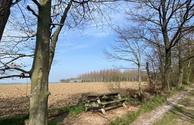 Natuurhuisje in Maasbommel