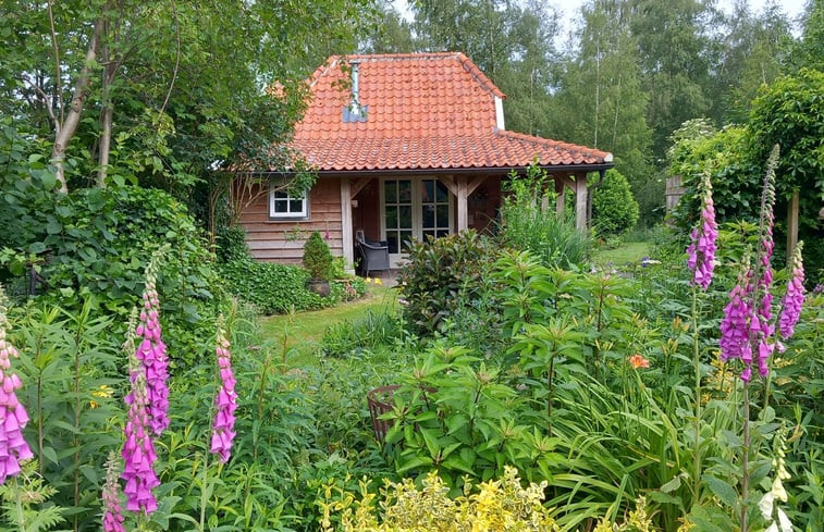 Natuurhuisje in Vriezenveen