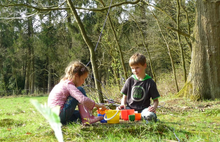 Natuurhuisje in Elspeet