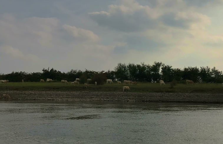 Natuurhuisje in Brummen