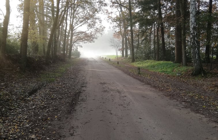 Natuurhuisje in Joppe