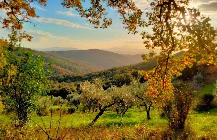 Natuurhuisje in Tatti (Massa Marittima)