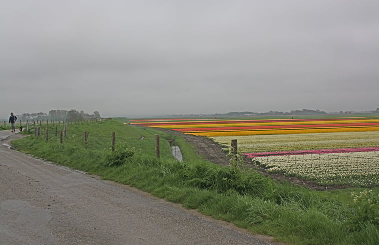 Natuurhuisje in Warmenhuizen