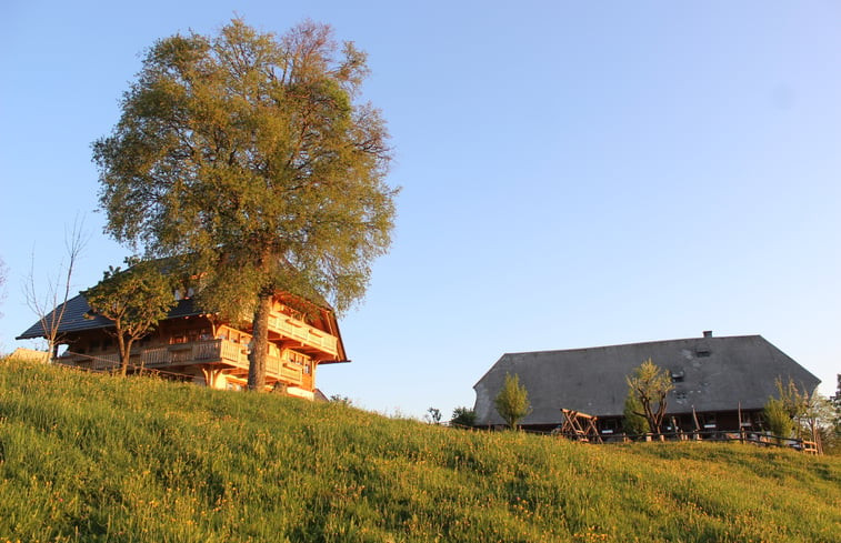 Natuurhuisje in Hinterzarten